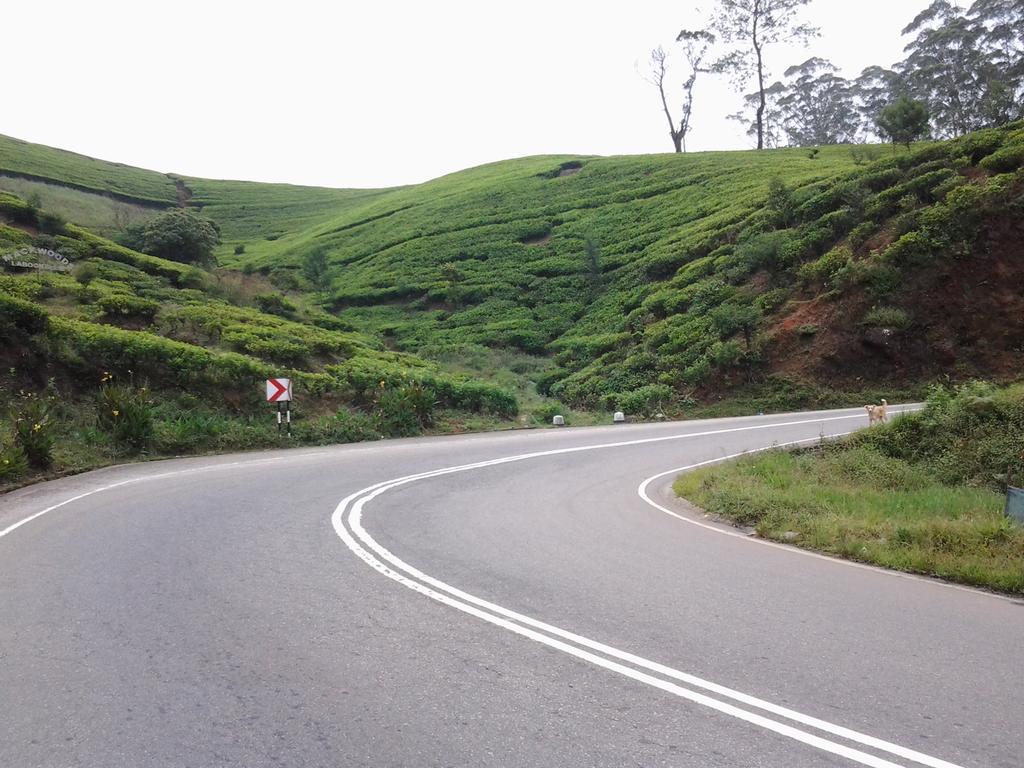 Villa Cassandra Nuwara Eliya Kültér fotó