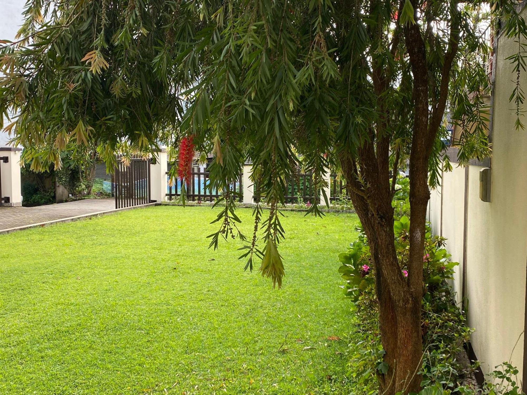 Villa Cassandra Nuwara Eliya Kültér fotó